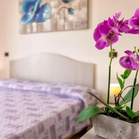 Corallo Apartment